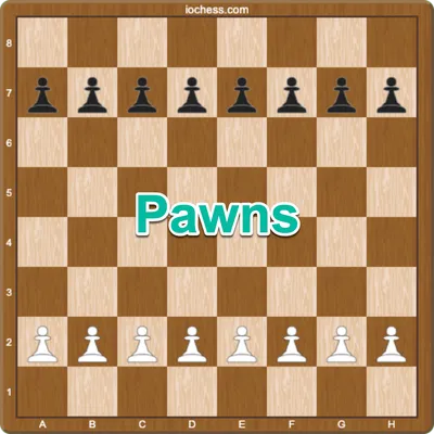 A picture showing where to place pawns in chess