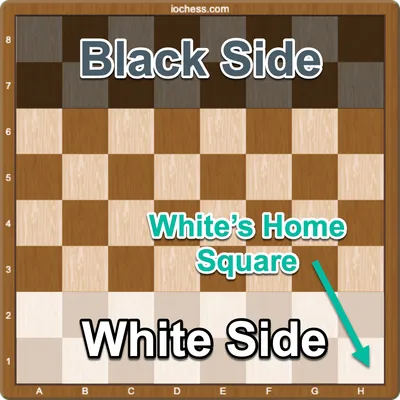 A chess board showing black and white sides