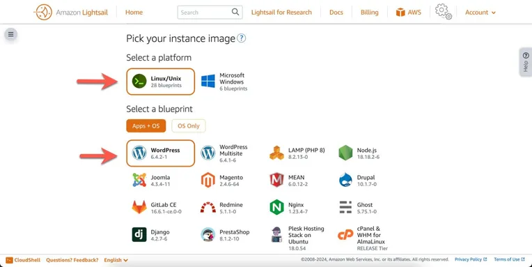 A screenshot of the AWS Lightsail dashboard
